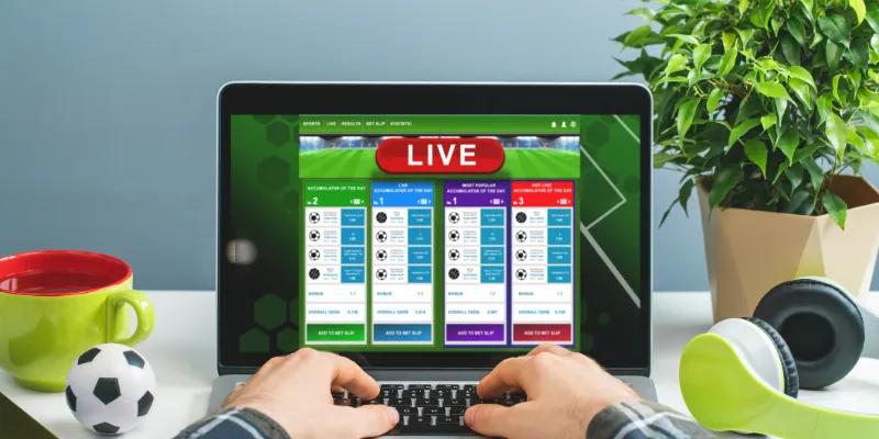 Các nhà cung cấp uy tín mang đến trải nghiệm tuyệt vời cho bạn