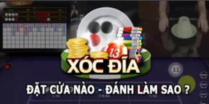 Xóc đĩa 3D