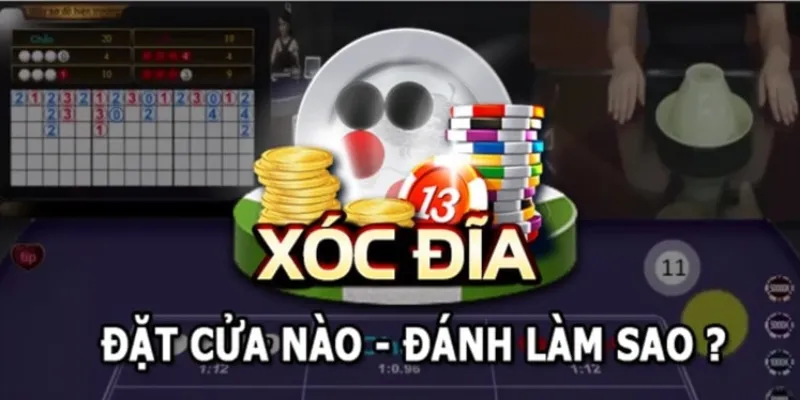 Xóc đĩa 3D